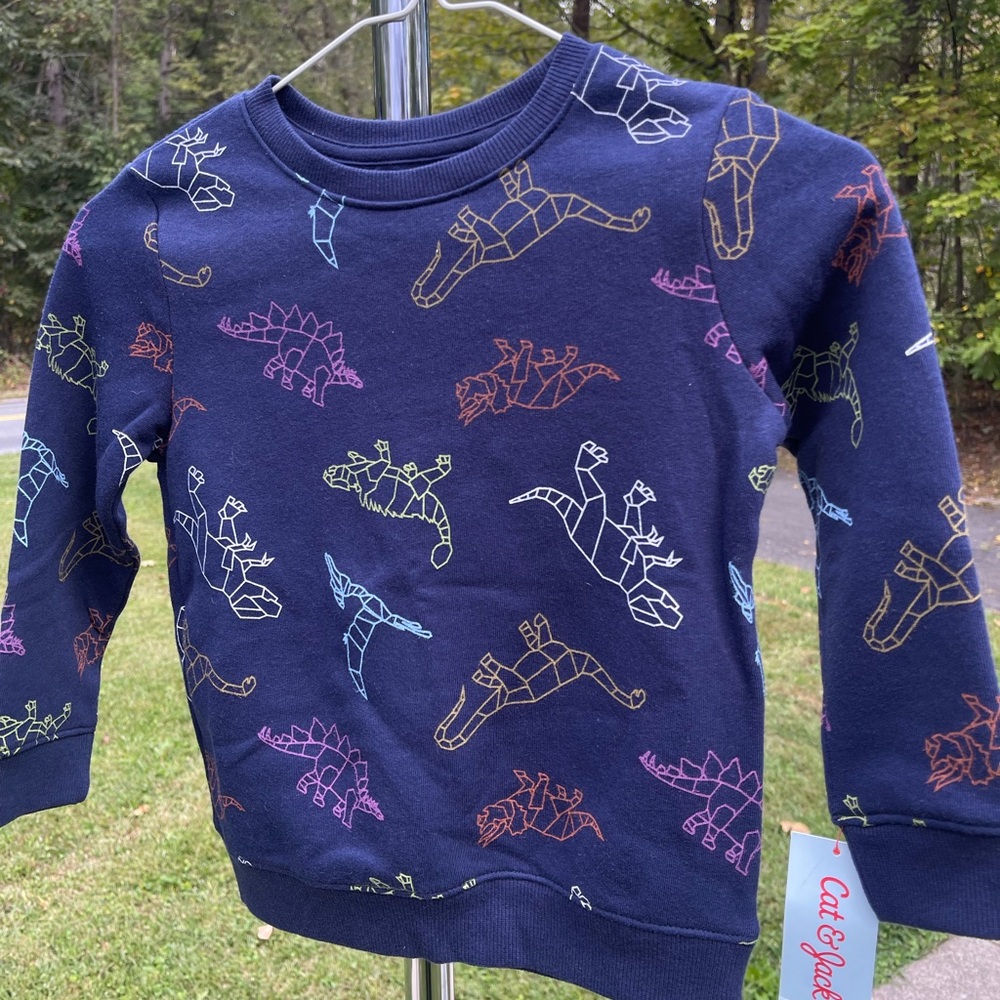 Cat & Jack Multicolor Dinosaur Print Sweatshirt
